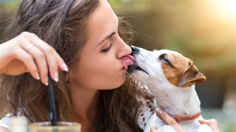 Rare Infection from Dog Licks Nearly Kills Dog Lover ...