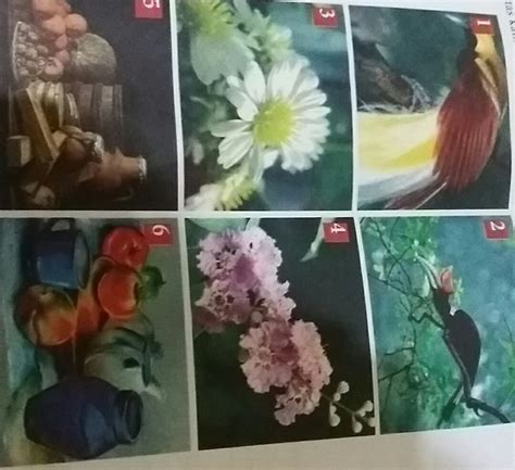 Menggambar sebaiknya dimulai dari mengamati objek yang akan digambar, mengatur komposisi gambar, sampai dengan mewarnai hasil gambar. Contoh Soal Menggambar Flora Fauna Dan Alam Benda