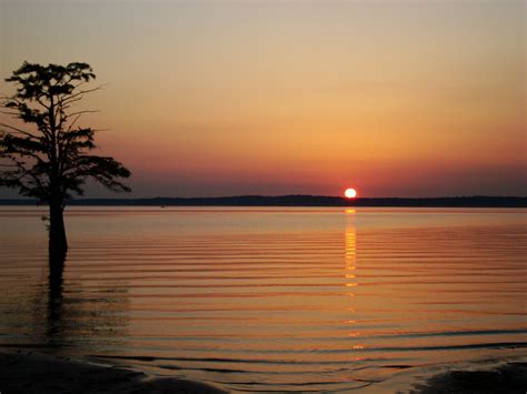 Sardis lake is impounded by sardis dam, located nine miles (14 km) southeast of the town of sardis. Pin by Jennifer Barton on Favorite Places & Spaces ...