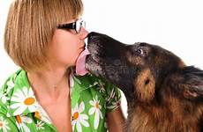 dog kissing girl isolated canine preview bad
