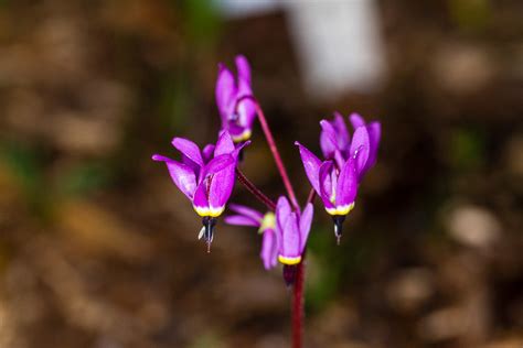 Maybe you would like to learn more about one of these? Frühling in Regensburg | Muellereien