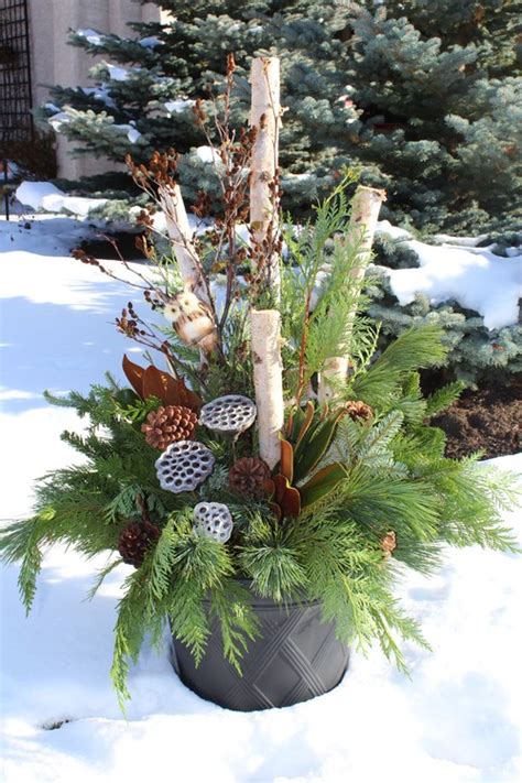 Colorado blue spruce, japanese cryptomeria and green giant arborvitae. Gorgeous Christmas Urns - OMG Lifestyle Blog