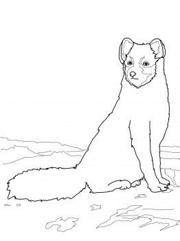 Photograph by tom walker / getty images. Sitting Arctic Fox coloring page | Super Coloring | Fox ...