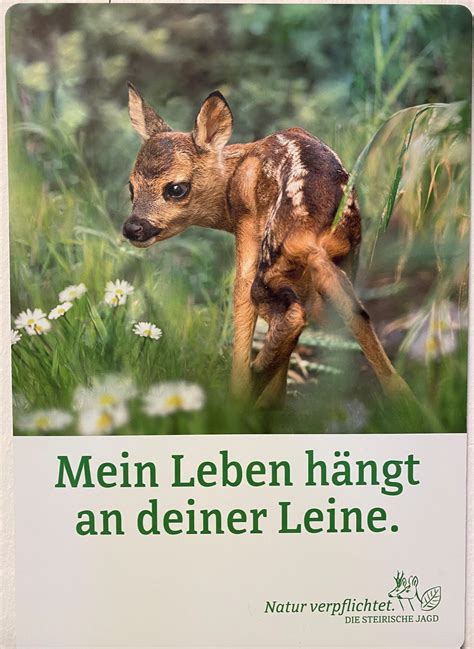 Je nachdem wie du den satz bilden willst. "Mein Leben hängt an deiner Leine" - Steirische ...