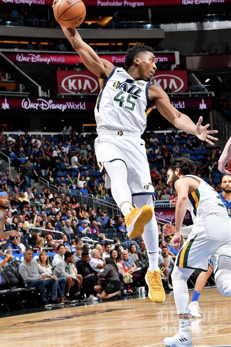 Graphic designer, photographer, web designer. Donovan Mitchell Photograph by Fernando Medina