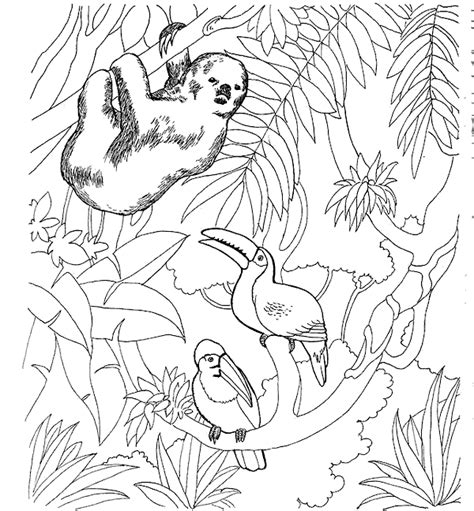 Each species features realistic markings and coloring with movable arms and legs. Kids-n-fun.com | 21 coloring pages of Zoo