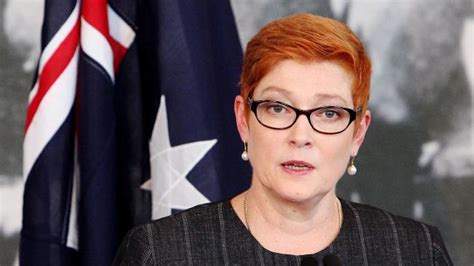 Marise payne is the australian minister for foreign affairs and the. Marise Payne will attend Raisina Dialogue, discuss ...