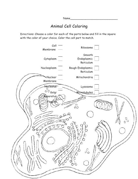 Check spelling or type a new query. Plant Cell Drawing With Labels at GetDrawings | Free download