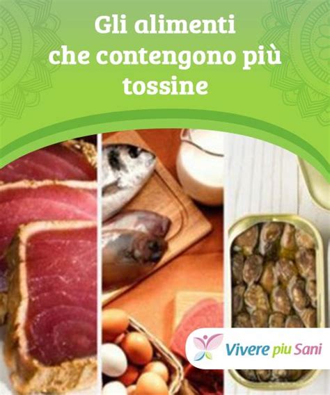 Inutile invece, il consumo eccessivo di alcool. Gli alimenti che contengono più tossine - Vivere più sani ...