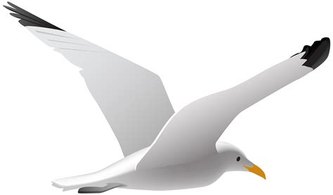 It serves as a reboot to the television series and is loosely based upon the original series serving as a parallel timeline to the classic series. seagull clipart free 10 free Cliparts | Download images on ...