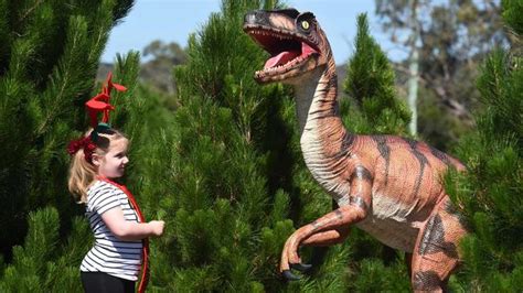 177 middlesex ave, somerville, ma 02145. Somerville Christmas tree Farm and Dinosaur World ready ...