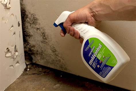 Removes musty odors caused by damp moldy basements. How to get rid of musty smell in basement with a few quick ...