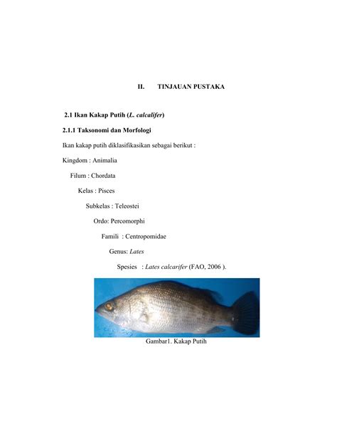 Jun 19, 2021 · kadis pertanian ketahanan pangan dan perikanan kabupaten bangli i wayan sarma menyampaikan kegiatan penebaran ikan dilaksanakan dalam rangka pelestarian perikanan serta untuk memulihkan populasi stok ikan di danau batur dan juga bagian dari rangkaian hari lahir pancasila dan bulan bung karno iii. Bulan Musim Ikan Kakap Putih : Sumut Targetkan Produksi ...