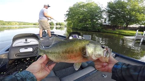 Fishing rigs & lures for a quick trip. Lake Carey Fishing Tournament (Tokyo Rig) - YouTube