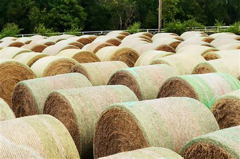 They do the calculation base on the dimension and the size. How Much Does Your Hay Storage Cost? | Southeast Cattle ...