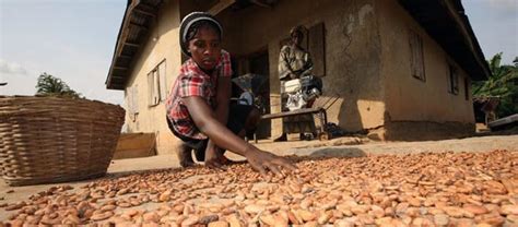 It operates through four segments: Nestle, Mars and Mondelez are leaving women farmers behind ...