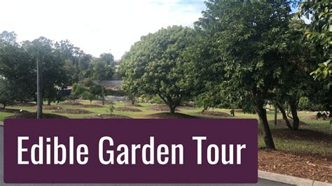 .gardening books on fruit trees, particularly ones that would help me decide which fruit trees are suitable for brisbane's climate and are less than 5 metres so that i can cram in a ton of different trees. Fruit Tree and Edible Garden Tour at Brisbane Botanical ...