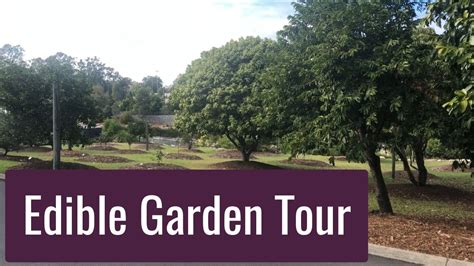 The table below shows when each fruit in the list is in season in brisbane and queensland. Fruit Tree and Edible Garden Tour at Brisbane Botanical ...