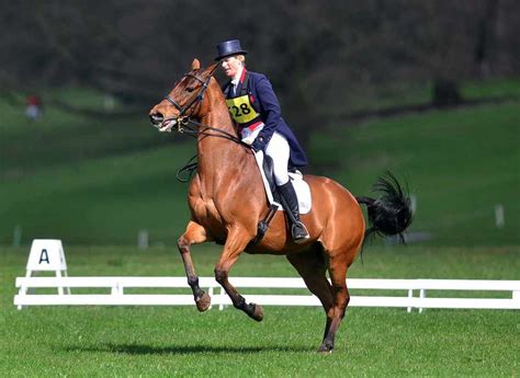 Oliver townsend has 100 books on goodreads, and is currently reading the good immigrant: IN PICTURES: Zara Tindall competes at Weston Park Horse ...