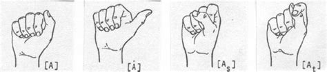 Giovanna bellugi, aerografista, kustom painter e decoratrice. Allophones of 0 A 0 in ASL (adapted from Klima & Bellugi 1979:44).... | Download Scientific Diagram