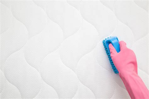 Immediately remove the bedding and put it in the laundry. Cleaning Urine Stains from a Mattresses | ThriftyFun