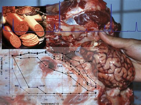 Detection of mastitis before sample collection, the udder was examined visually and by palpation for evidence of gross pathology. GC/MS detection of central nervous tissue as specified BSE ...