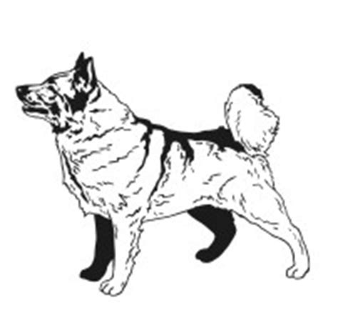 Some tips for printing these coloring pages: Dog Drawings for Engraving