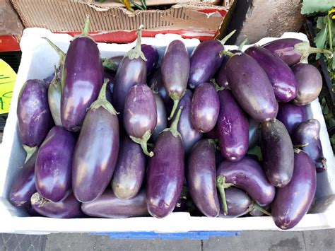 Your japanese purple eggplants stock images are ready. identification - What's the name of this small purple ...