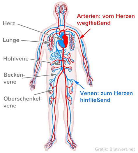 Es weist also keinesfalls eine thrombose nach. Thrombose - Risiko durch Blutgerinnsel-Bildung