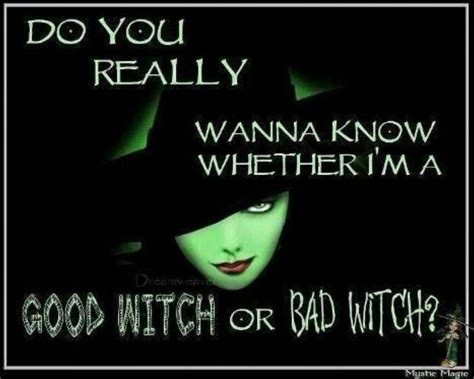 Do not cite the deep magic to me, witch. 55 best Funny witch sayings images on Pinterest | Bruges ...