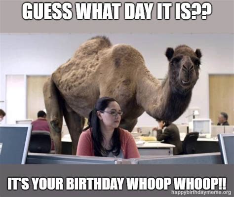 A great meme stands out from the pack, but reflects current trends, jokes and ideas. 21 Funniest The Office Birthday Meme - Happy Birthday meme