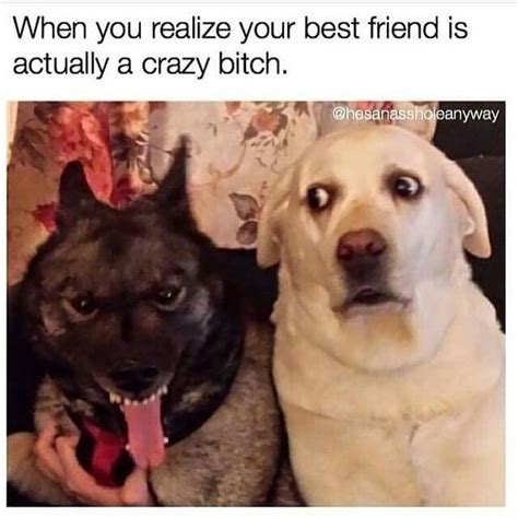 They will never live up to your expectations. Best Friend Memes to Keep Your Friendship Strong