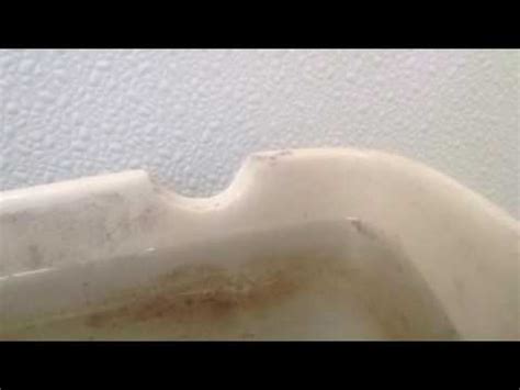 31.75 x 19.75 x 31 inches. #119: 2003 Mansfield alto toilet on overfilled tank - YouTube