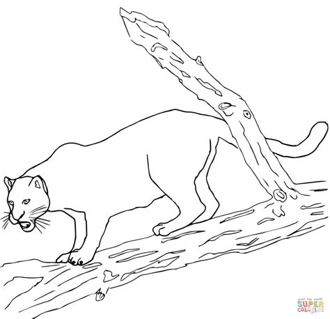 Assortment of jaguar coloring pages it is possible to download totally free. 301 Moved Permanently