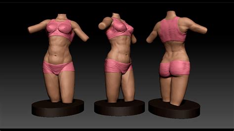 No need to register, buy now! Study of Anatomy #3, Female torso Zbrush. (Estudio de ...