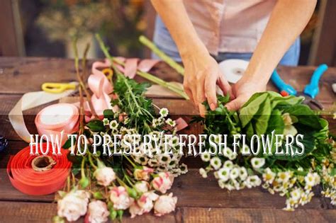 What to look for at the florist. How to Preserve Fresh Flowers Without Breaking A Sweat?