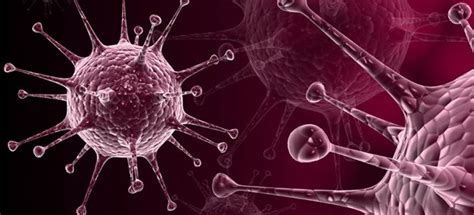 The treatment for marburg virus disease involves supportive care. Генитальный герпес - симптомы, лечение у мужчин, у женщин ...