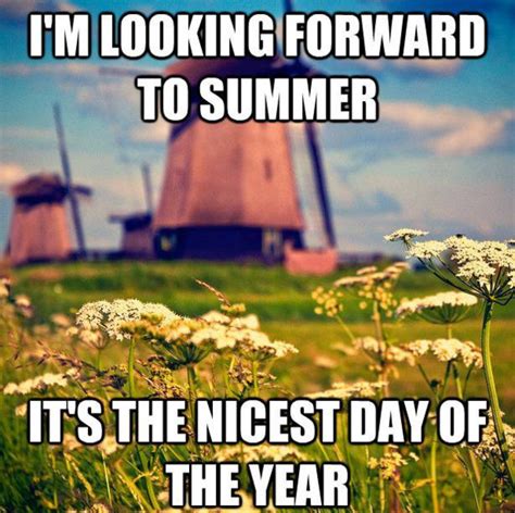 Trending images and videos related to netherlands! Summer in the Netherlands - Meme Guy