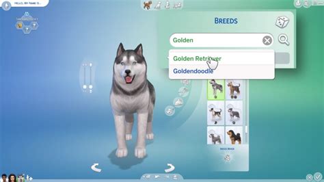 You also can't sell large pieces of furniture like fabricated items from eco lifestyle. How Long Does It Take For A Dog To Have Puppies Sims 4 ...