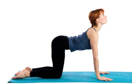 The european pregnants woman have sound body during pregnancy period. How to Stretch the Shoulders, Chest and Back with Cat and ...