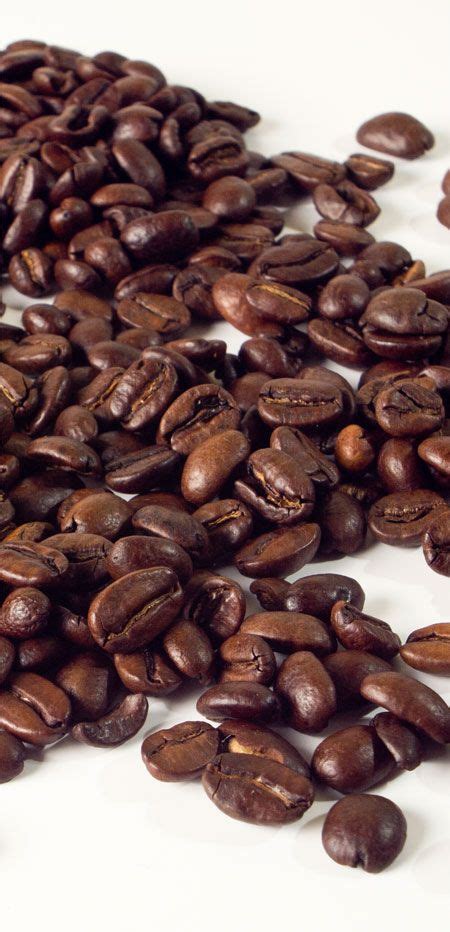 › are people allergic to coffee. Pin by Евгения Сацук on health | Nyc coffee shop, Coffee ...