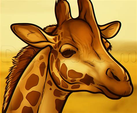 Video on how to draw a giraffe head step by step. How to draw a giraffe with these realistic & cartoon ...