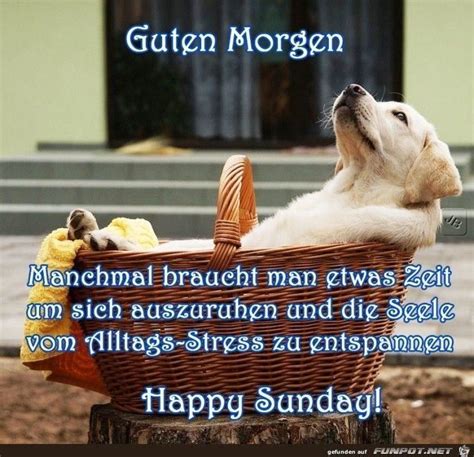 3 ausgaben bild am sonntag werden kostenlos direkt ins haus geliefert. Fotos De Domingo, Funny Free #Sunday # ...