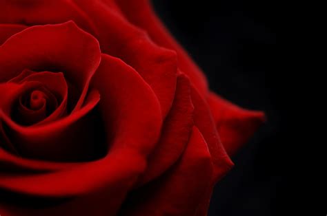 The two women, who both vied for the love of bachelor matt james, were both named as bachelorette leads at the end of the after. ABC's 'The Bachelorette' reportedly no longer filming in ...