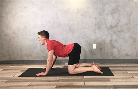 The llama, the alpaca, the guanaco. 6 Core Exercises to Ease Lower Back Pain | Daily Burn