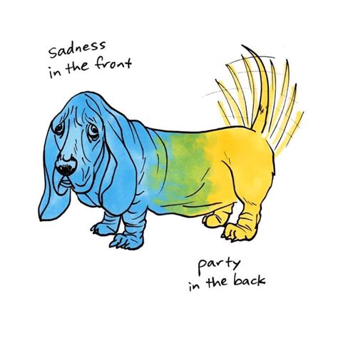 Share the best gifs now >>>. Basset #imagesofcutedogsandpuppies | Dog quotes funny, Basset hound puppy, Basset hound dog