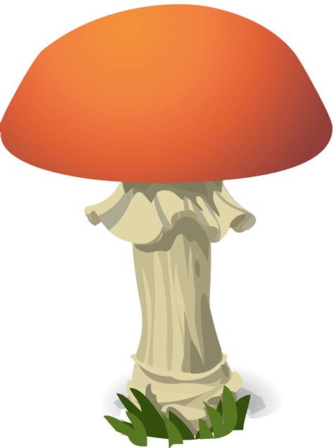 Mushroom clipart edible mushroom, Mushroom edible mushroom Transparent FREE for download on ...