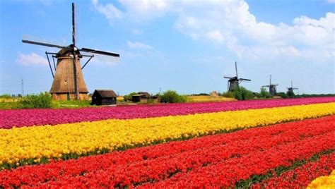 Na holanda, o espírito de modernidade e tradição é combinado de uma maneira incompreensível. Fazendo turismo na Holanda - relato de nossos 5 dias pelo ...