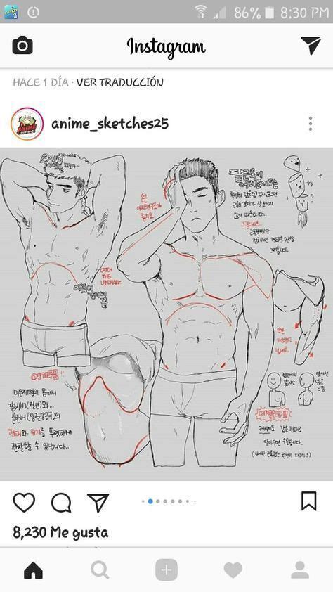 Human anatomy drawing drawing theory. Drawing body male tutorials anatomy reference 70 Ideas ...