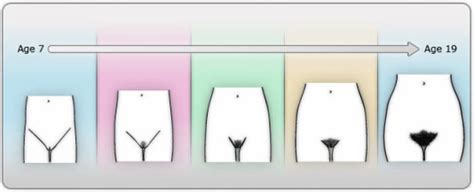 Men can learn how to shave their pubic area at home with ease. Puberty - pubertyandstuff.com